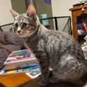 Photo of Freda