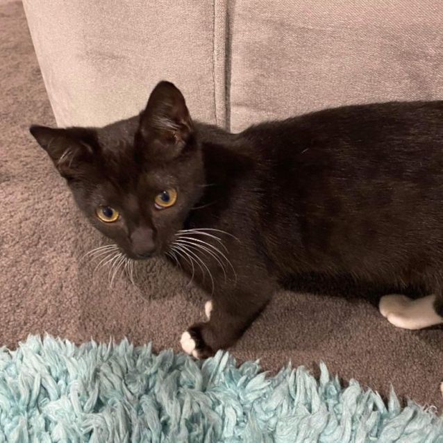 Photo of Luna