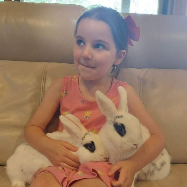 Photo of 🐰Jupiter And Galaxy🐰 (Located In Mount Evelyn)