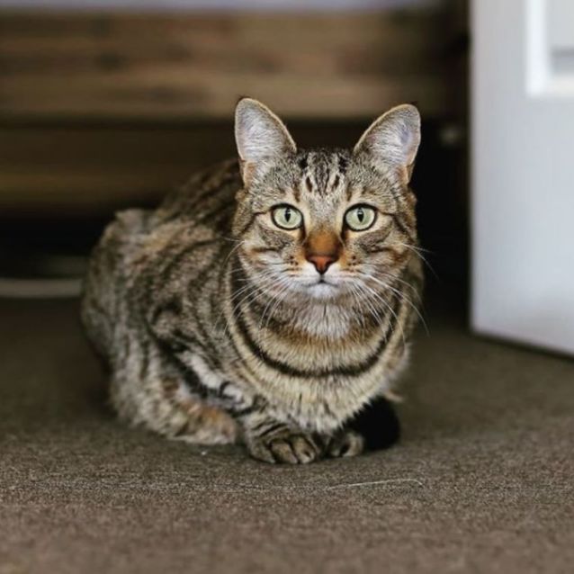 Photo of Charlie