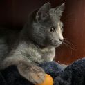 Photo of Tina 