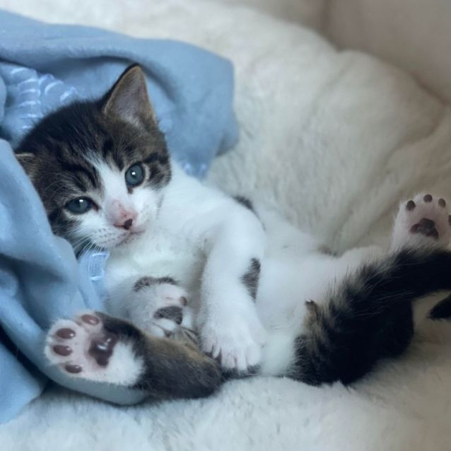 Photo of 🌱🌱 Sprout 🌱🌱