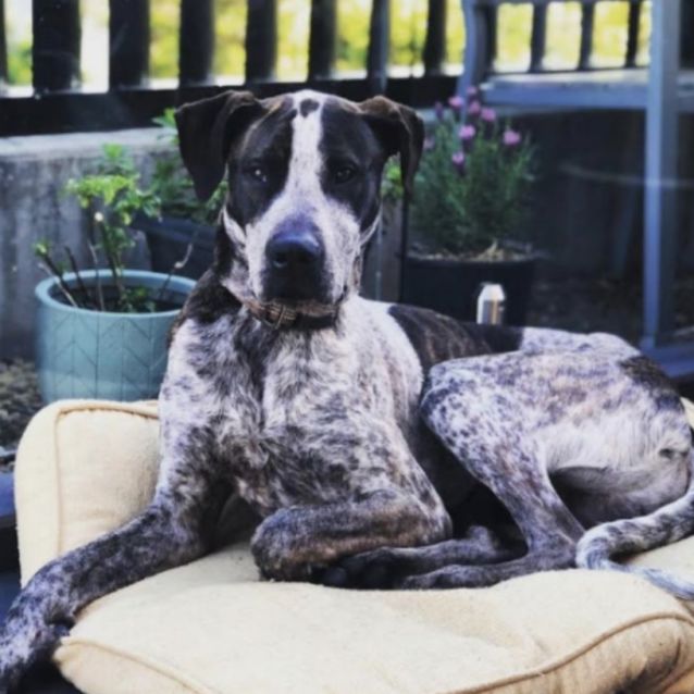 Photo of Max