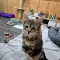 Photo of Mimi