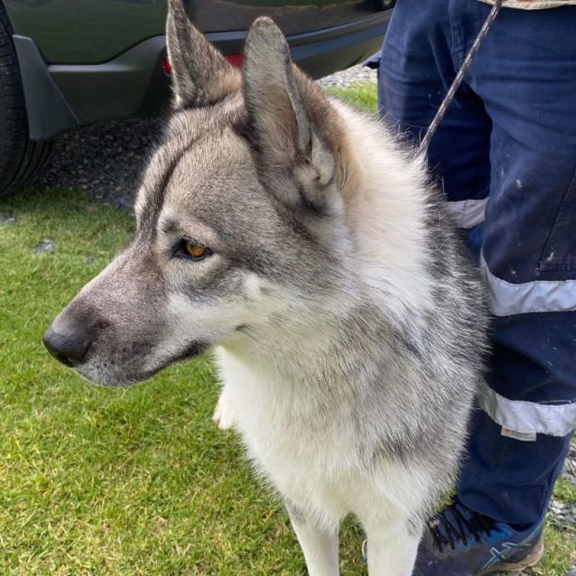Photo of Ragnar
