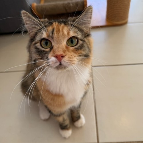 Millie