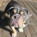 Photo of Mash!