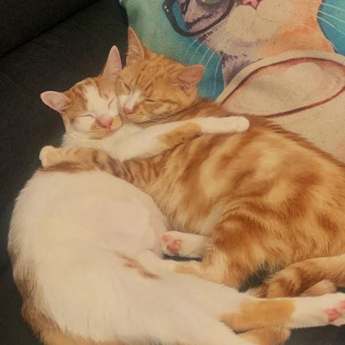 Jack and Evie