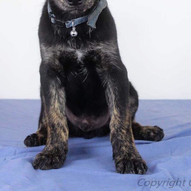 Photo of Whisky 