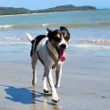 Photo of Rosie