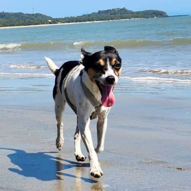 Photo of Rosie