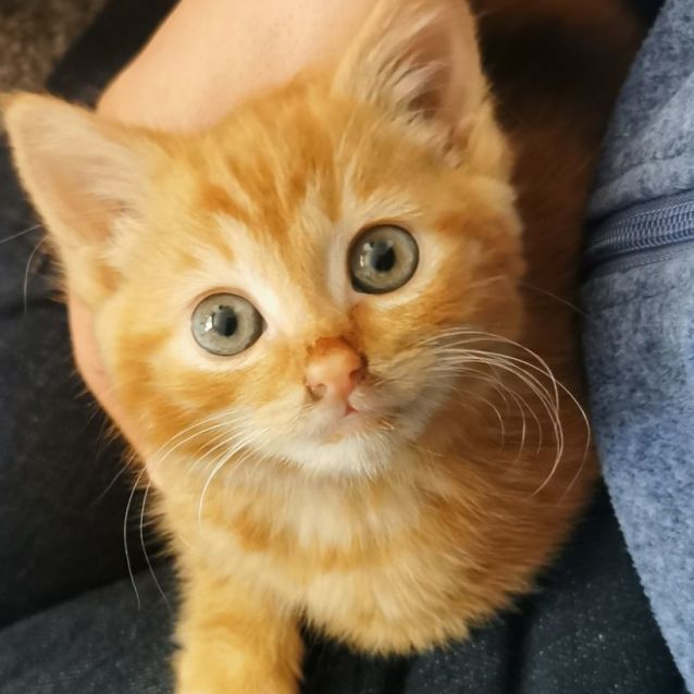 Photo of Ace & Aria 🌸