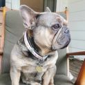 Photo of Enid