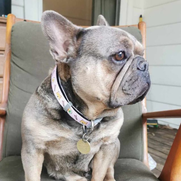 Photo of Enid