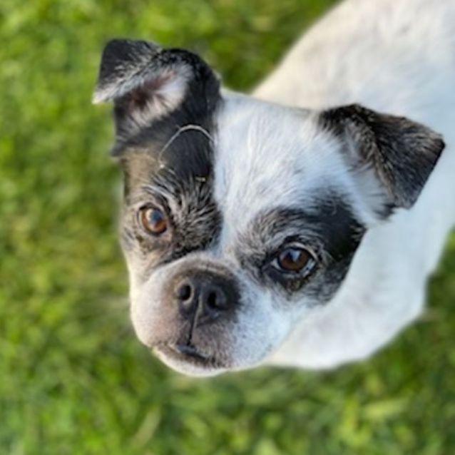 Photo of Cocopops 