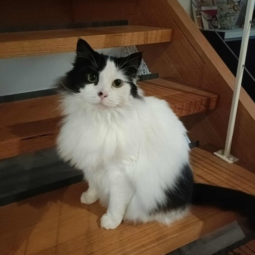 No photo for Monty