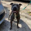 Photo of Jet