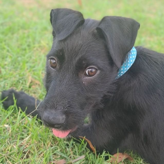 Photo of Leila