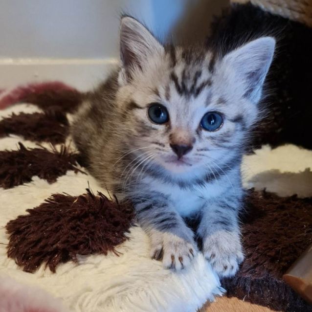 Photo of Skywalker (Located In Edithvale)