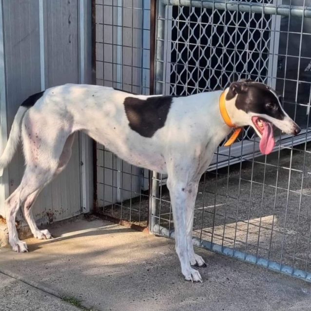 Photo of Bonnie & Cindy