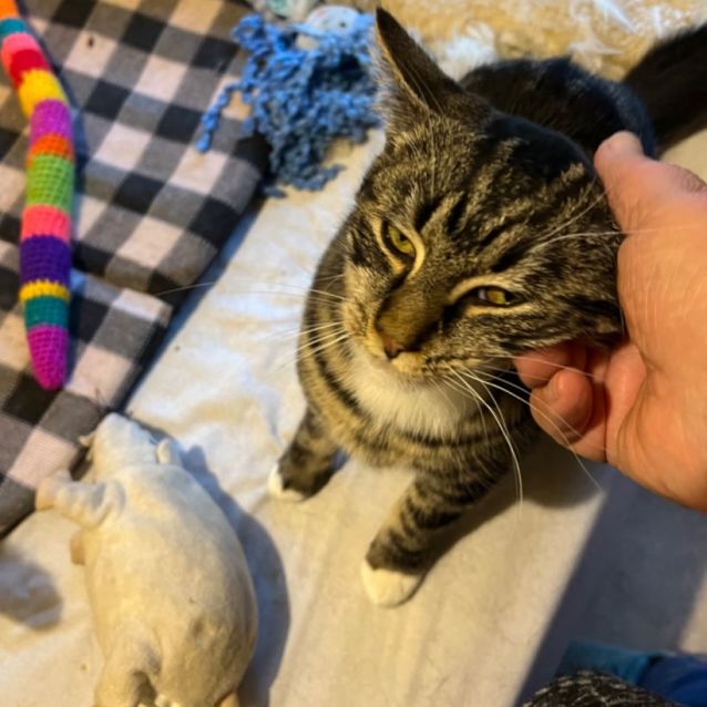 Photo of Chase   Can Deliver To You