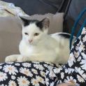 Photo of Lillian