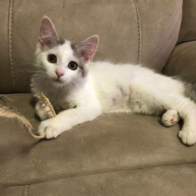 Photo of Betty White