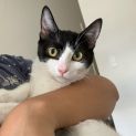 Photo of Moo