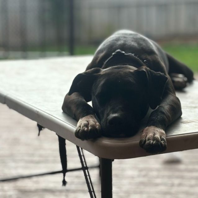 Photo of Snugglebum