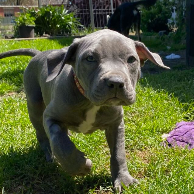 Photo of Hinto 
