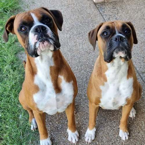 Molly & Barney