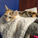 Photo of Chloe