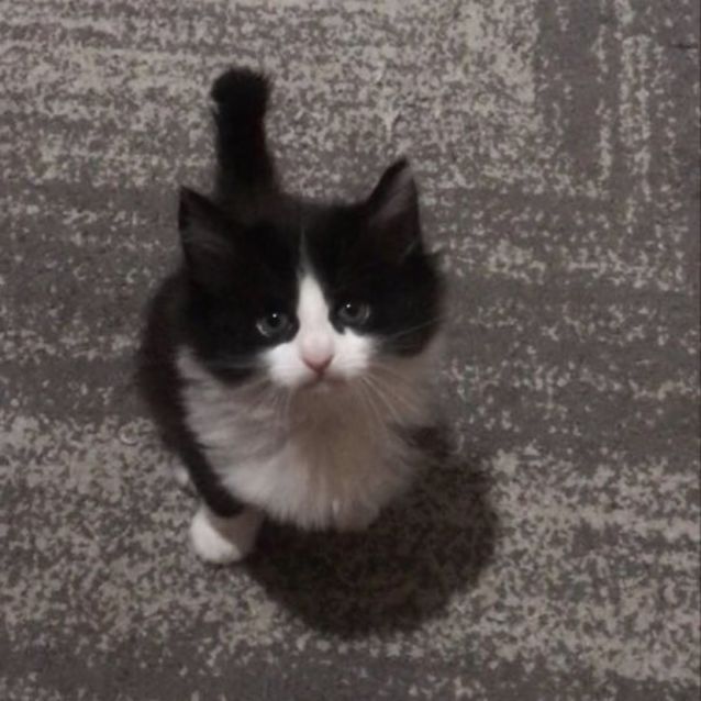 Photo of Dumpling 