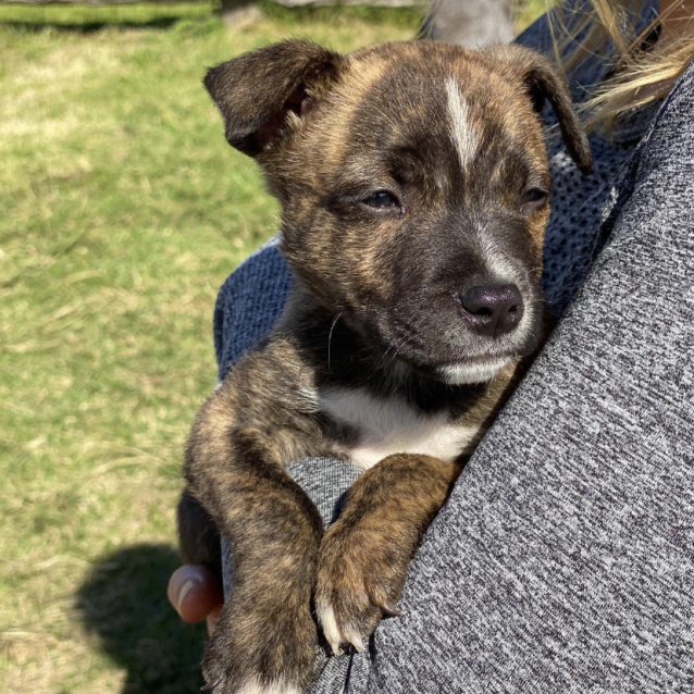 Photo of Gus