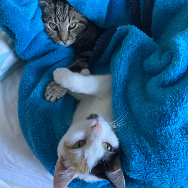 Photo of Leo & Callie