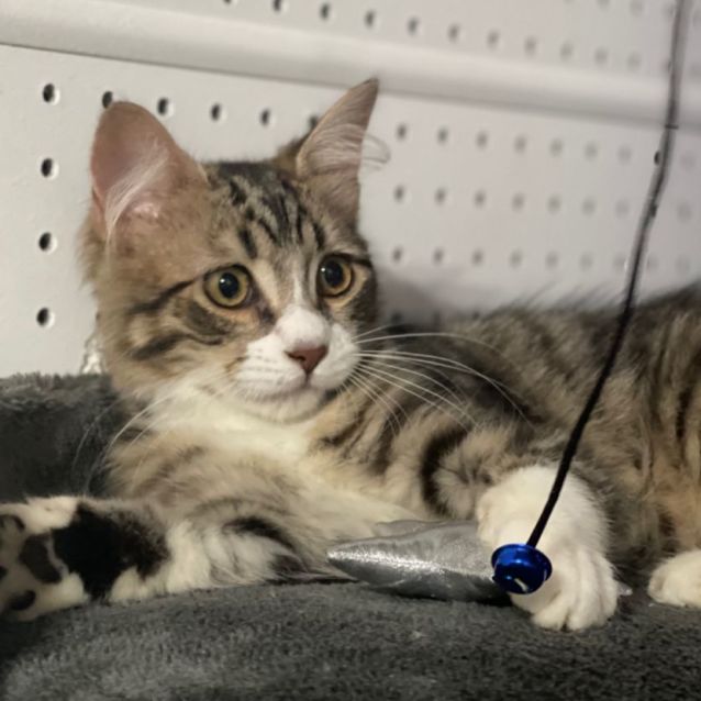 Photo of Jaxon 😻💙