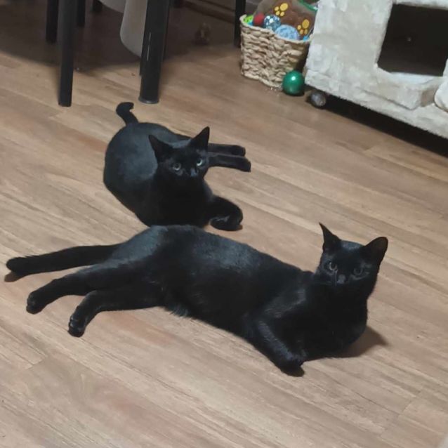 Photo of Lily & Phoebe 🌸🌸