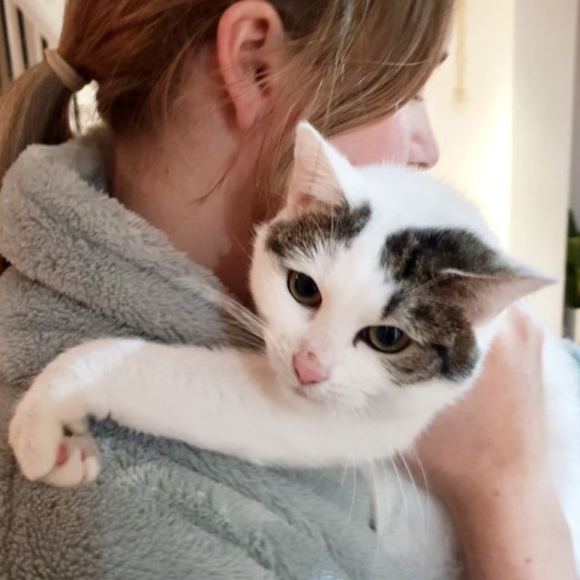 Photo of 🌺 Tigerlily 🌺