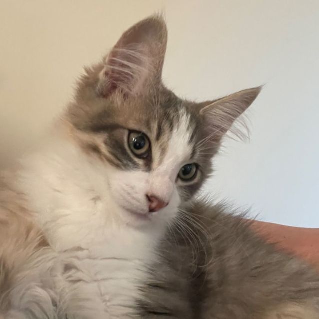 Photo of Timmy