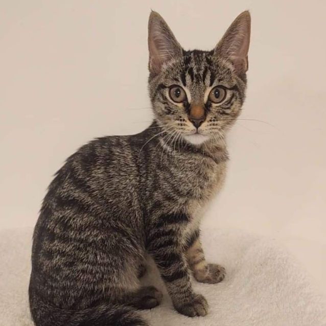 Photo of Harriet 🥰