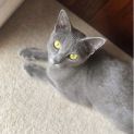 Photo of Lila