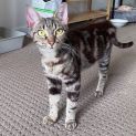 Photo of Ivy