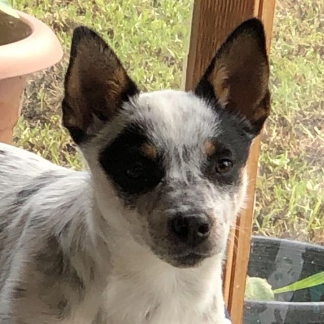 Photo of Mollie