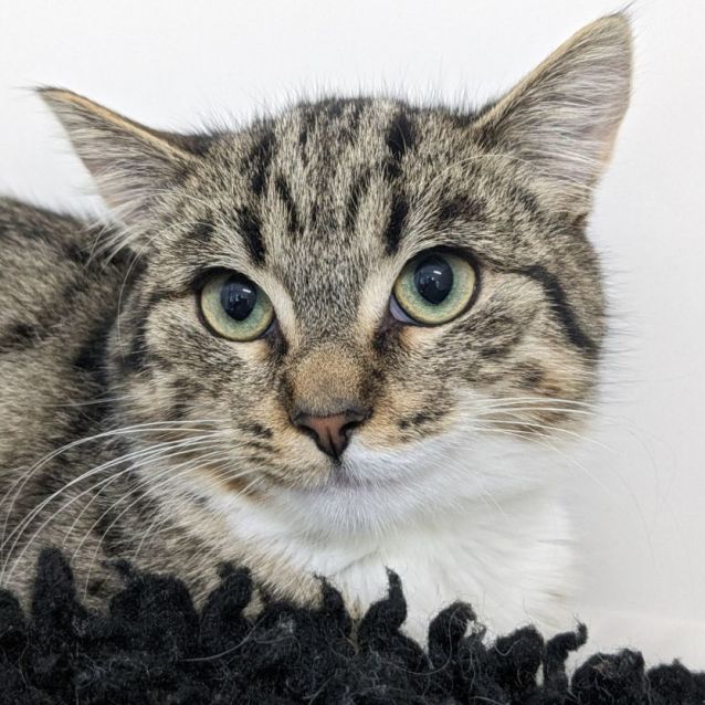 Photo of 🥃 Whiskey 5047 🥃