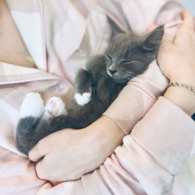 Photo of Colin Bridgerton