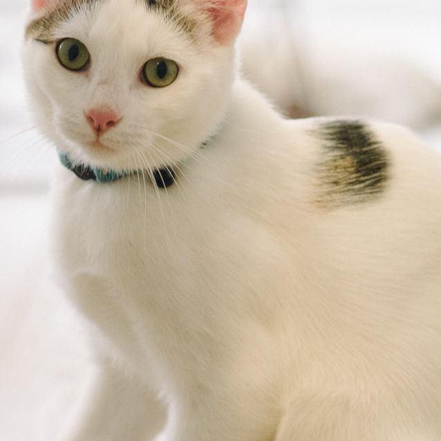 Photo of Lulu
