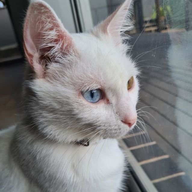 Photo of Salt