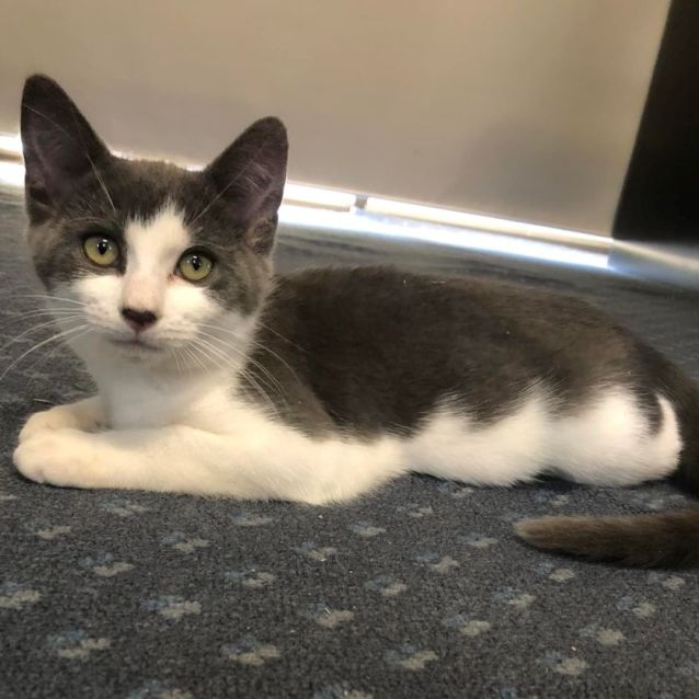 Photo of Riley (Or Ry Ry To Her Friends)