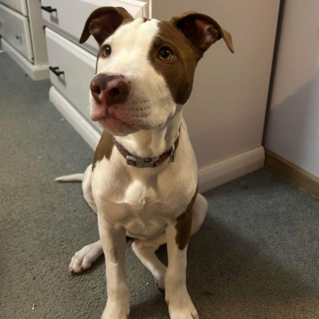 Photo of Princess Leia