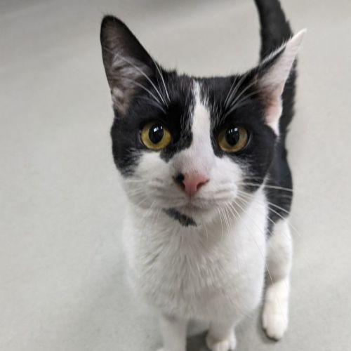 🗝 Bilbo  5184🗝